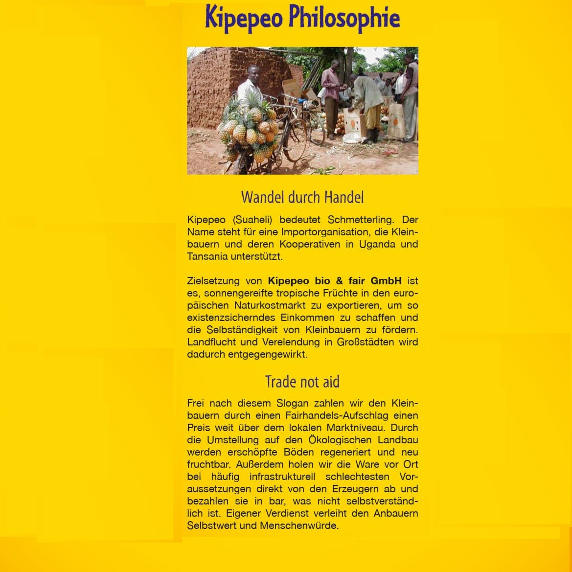 Kipepeo Bio-Ananas – Getrocknete Bio-Ananas – Produktansicht 5