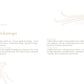 Vanilleschote Golden Selection – Premium-Vanilleschote Typ A